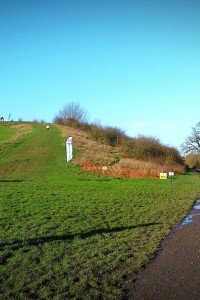 Flitch Way Marathon New Years Eve